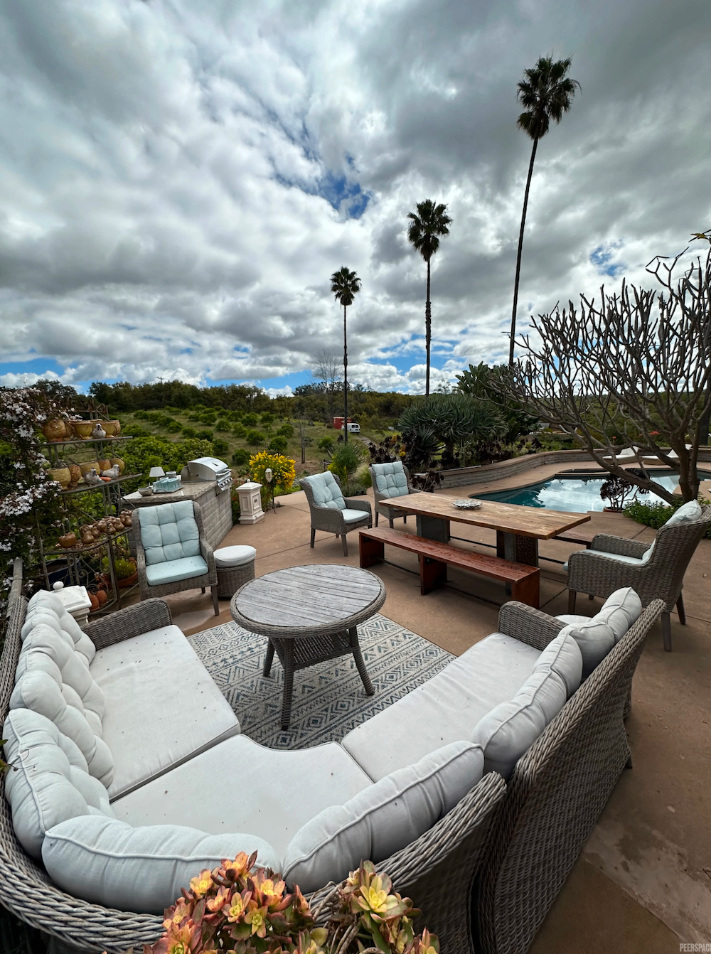 Outdoor lounge and pool terrace overlooking the orchard