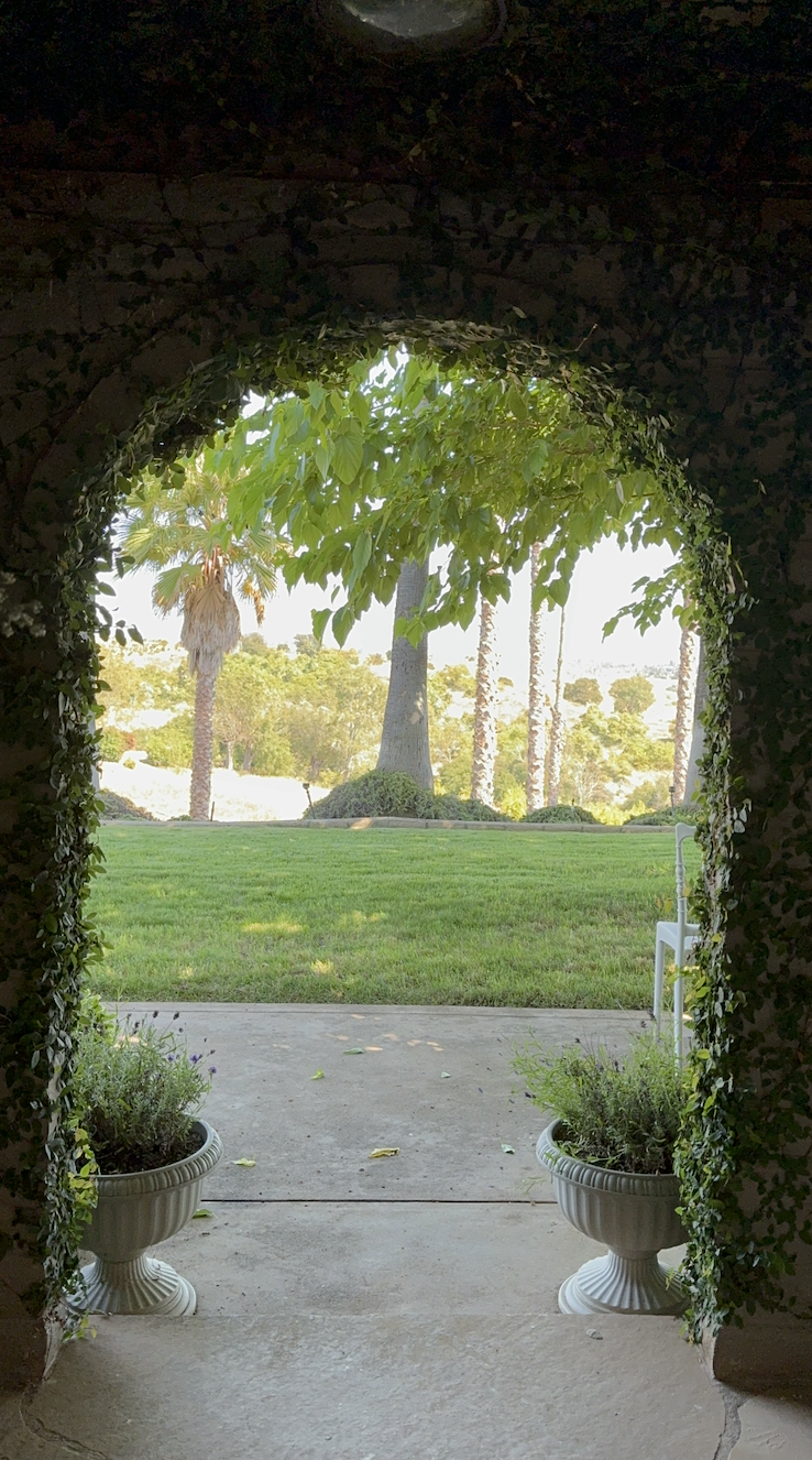 Garden view from the estate terrace