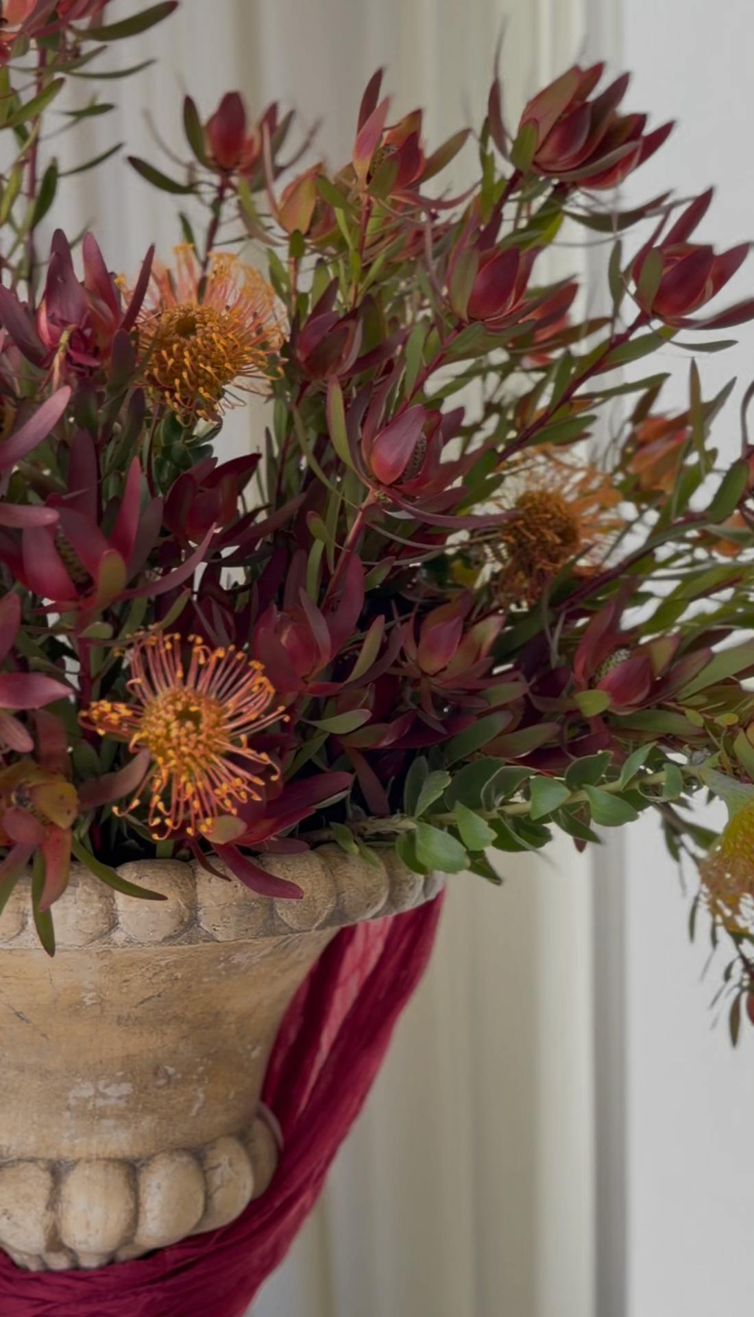 Protea and pincushion floral arrangement in a stone urn